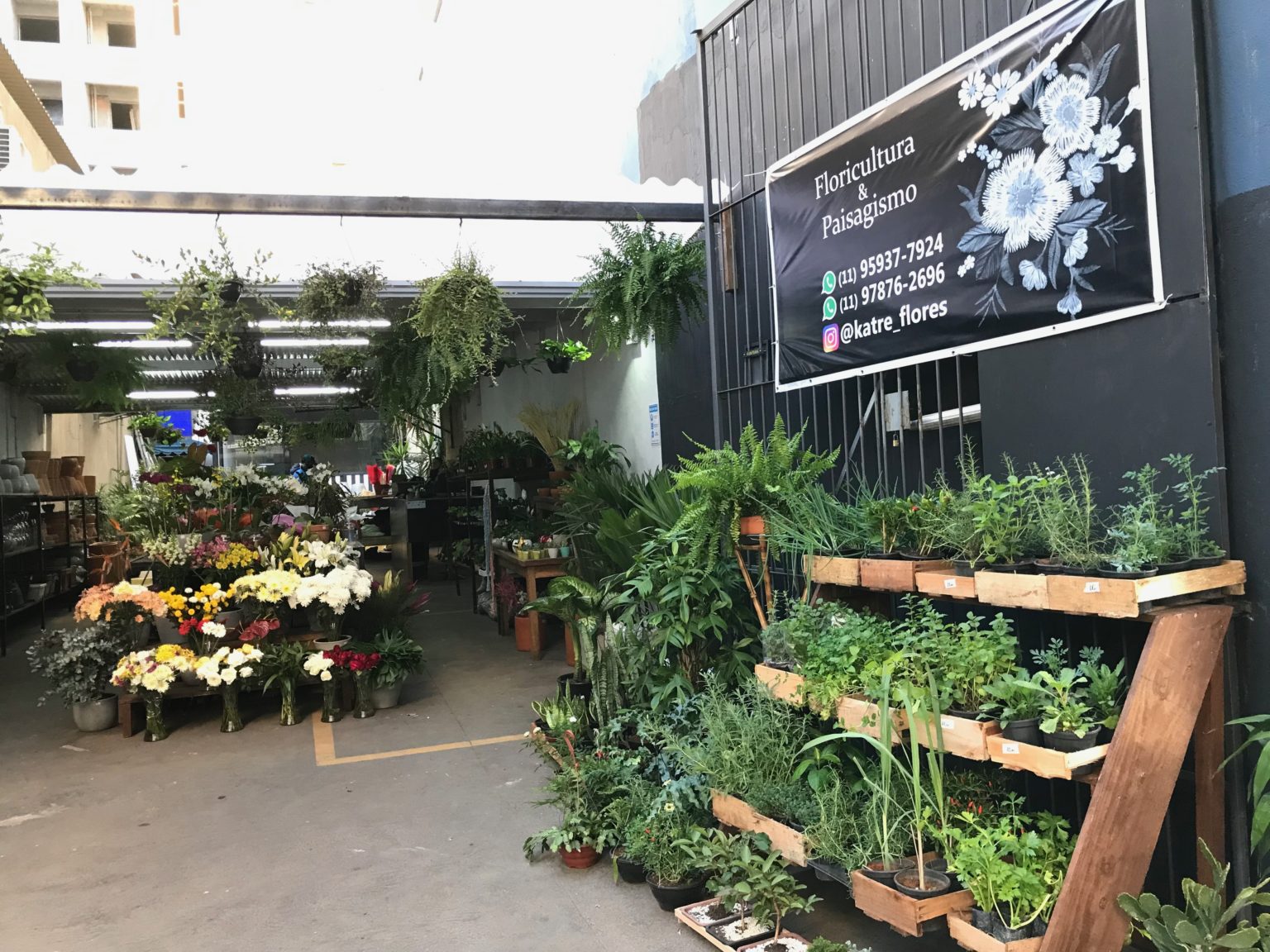 Lojas De Plantas No Centro De Sp Para Comprar Flores Ou Passear