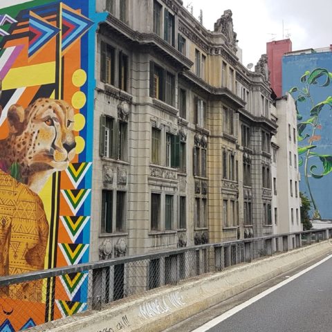 Vista privilegiada de quem faz o trajeto Barra Funda-Centro