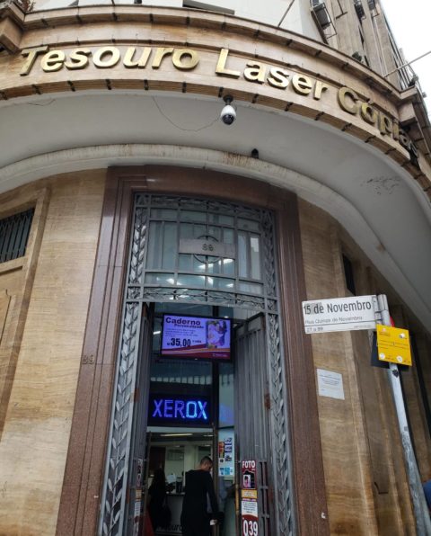 ramos de café nas fachadas - Edifício Azevedo Villares